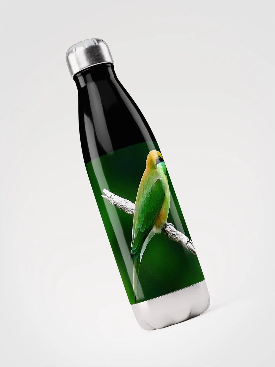 Stainless Steel Water Bottle product image (5)