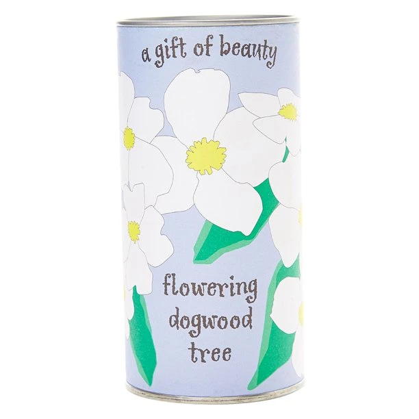 Pacific Dogwood | Seed Grow Kit product image (1)