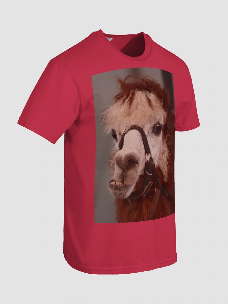 Llama Love Comfort Tee product image (7)
