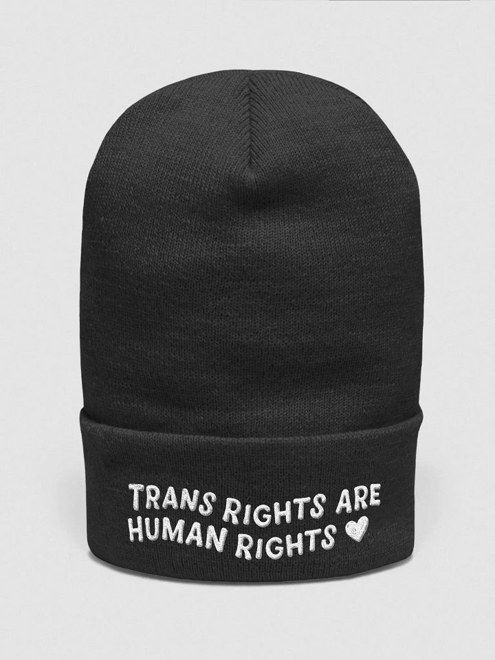 Trans Rights beanie product image (1)