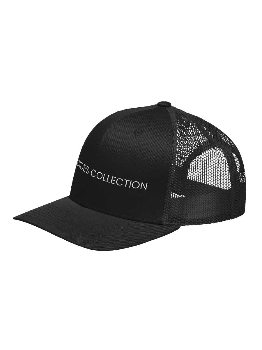 SHE DECIDES snapback product image (8)