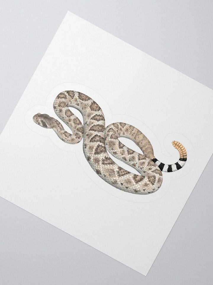 Die Cut Sticker – Western Diamondback Rattlesnake product image (2)