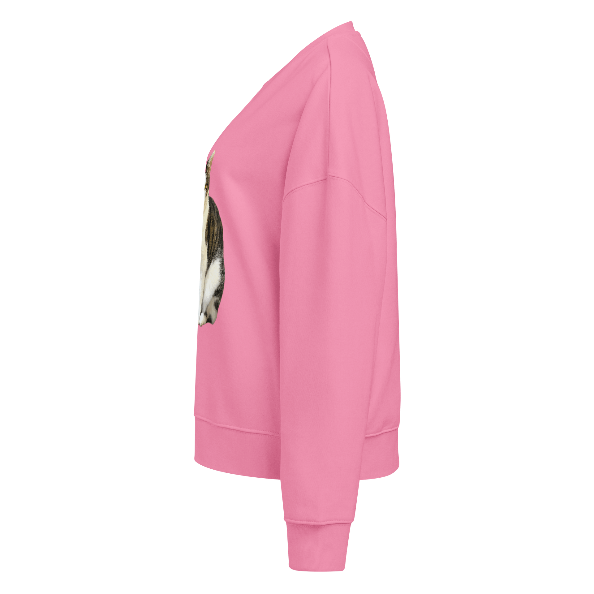 Tabby Dreams Organic Sweatshirt product image (3)