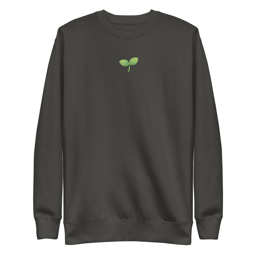 Sprout Embroidered Comfy Sweatshirt product image (4)