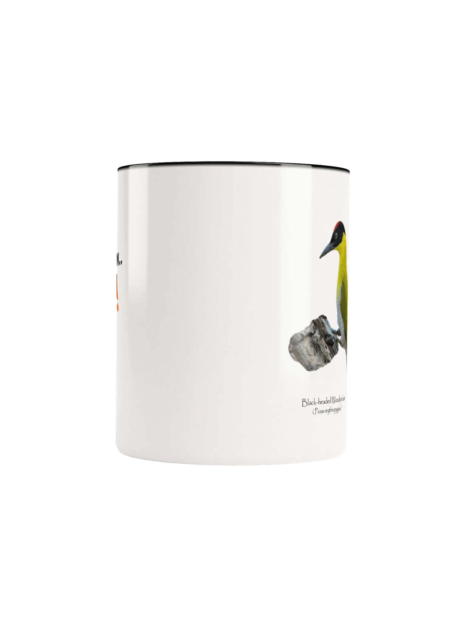 Black-headed Woodpecker mug product image (46)