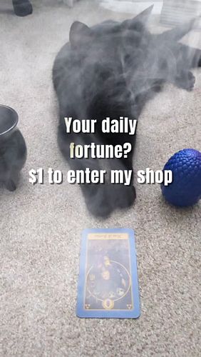 When a cat tells you your fortune... 
#cats #fortune #comedy