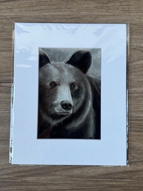 brown bear charcoal print - 5x7" product image (1)