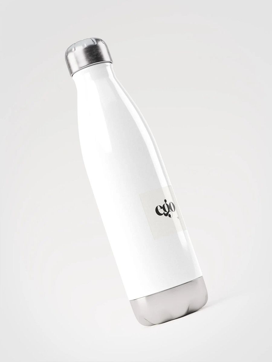 stainless steel water bottle product image (3)