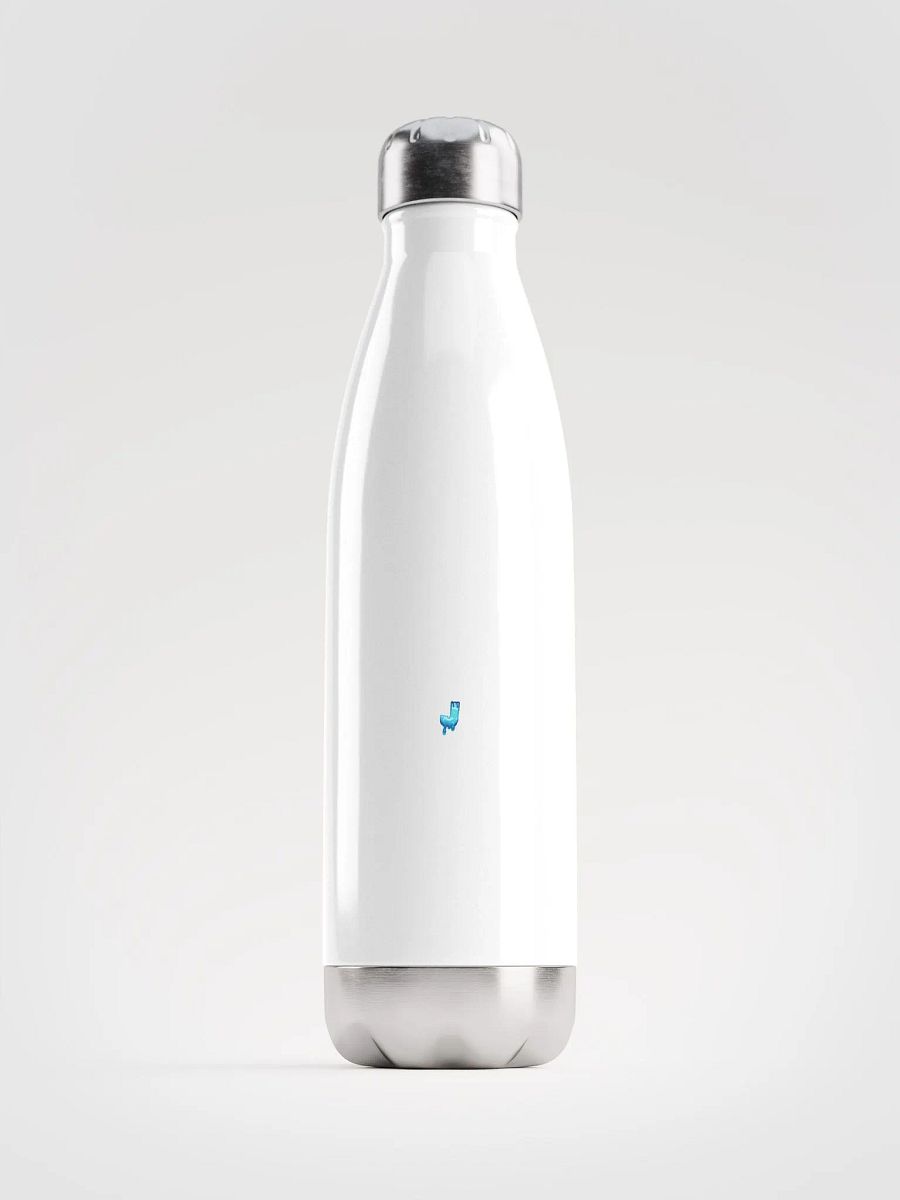 Insulated Stainless Steel Water Bottle product image (1)