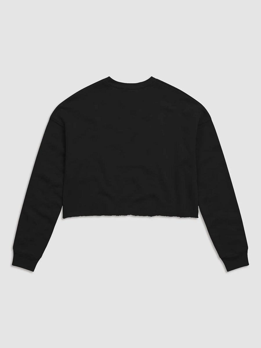 EmuEmi Coda Crop Sweater! product image (6)
