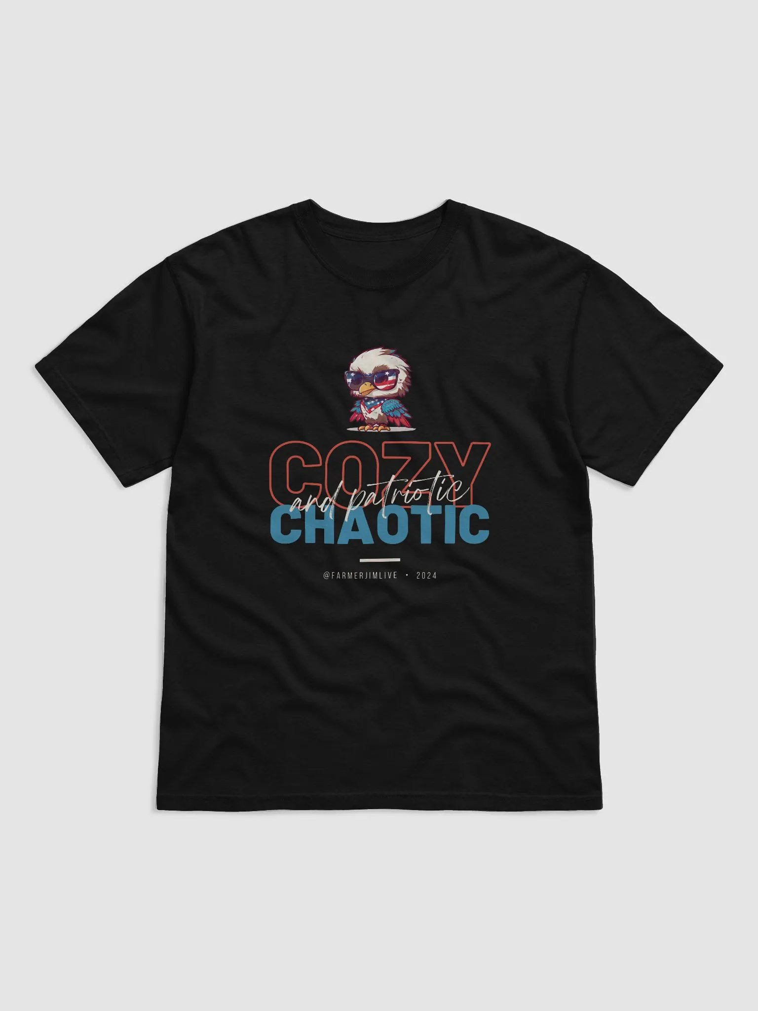 Cozy Chaotic and Patriotic Tee product image (1)