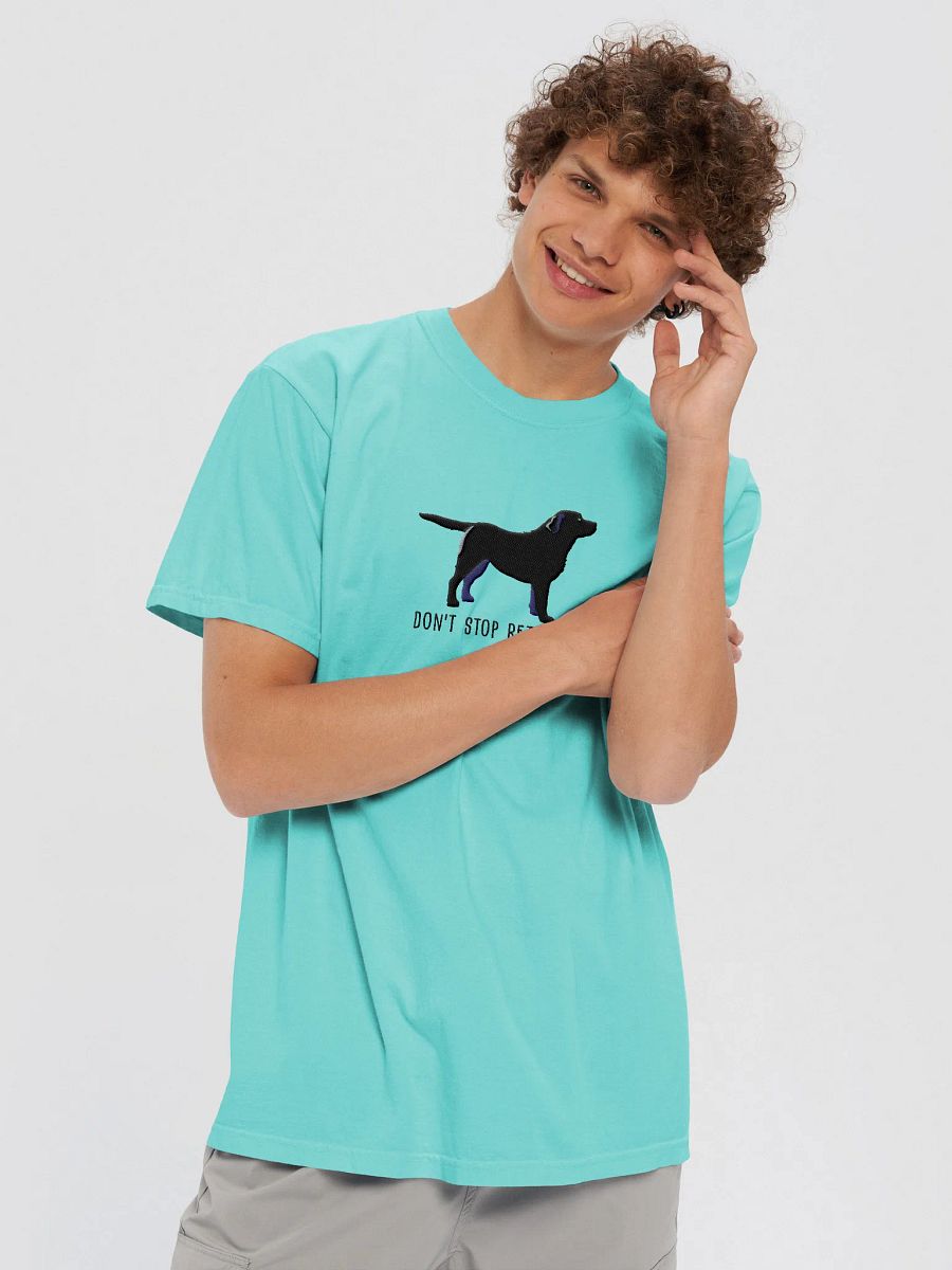 Don't Stop Retrievin' T-Shirt(Embroidered) of a Labrador Retriever(Black) product image (29)