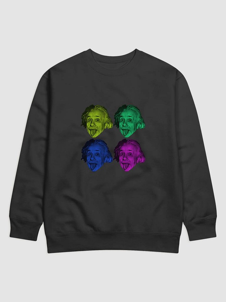 Einstein Sweatshirt product image (1)