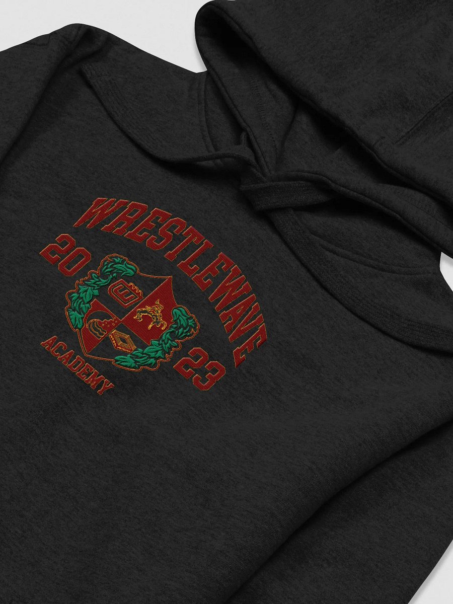 WrestleWave Academy Varsity Hoodie product image (3)