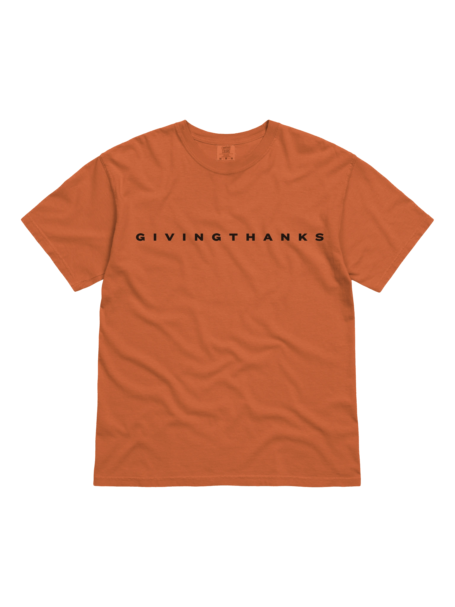 Plain Thanksgiving _ T Shirt product image (1)