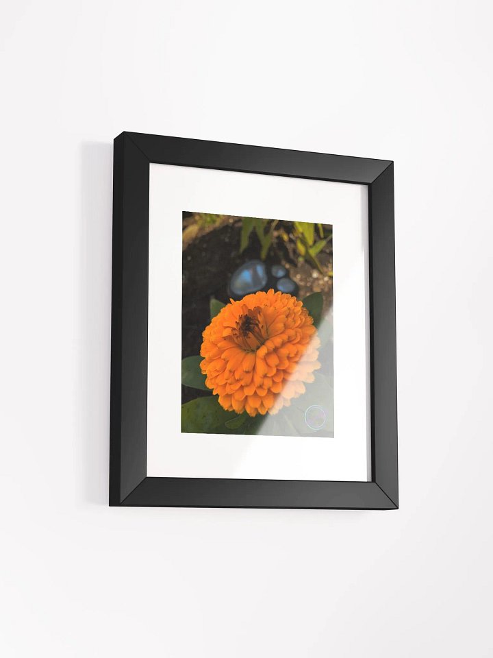 Orange in bloom product image (2)