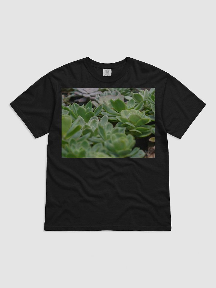Succulent Serenity Cotton Tee product image (1)