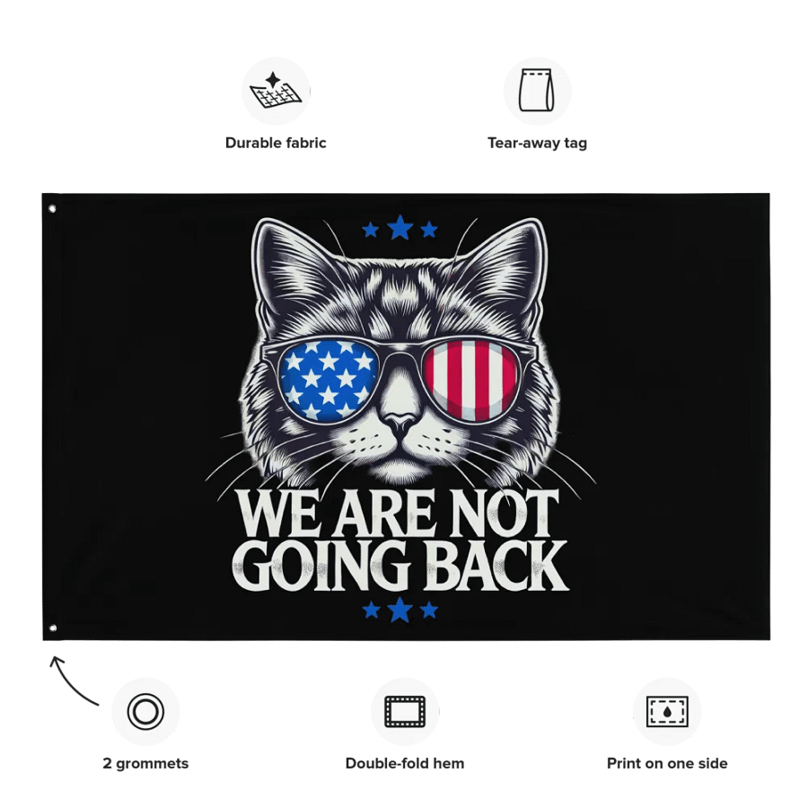 US Election Day 2024 We Are Not Going Back Cat America Flag product image (8)