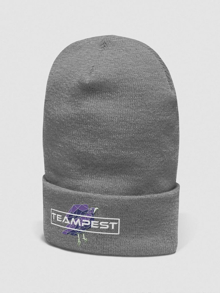 TeamPEST Gray Beanie product image (2)