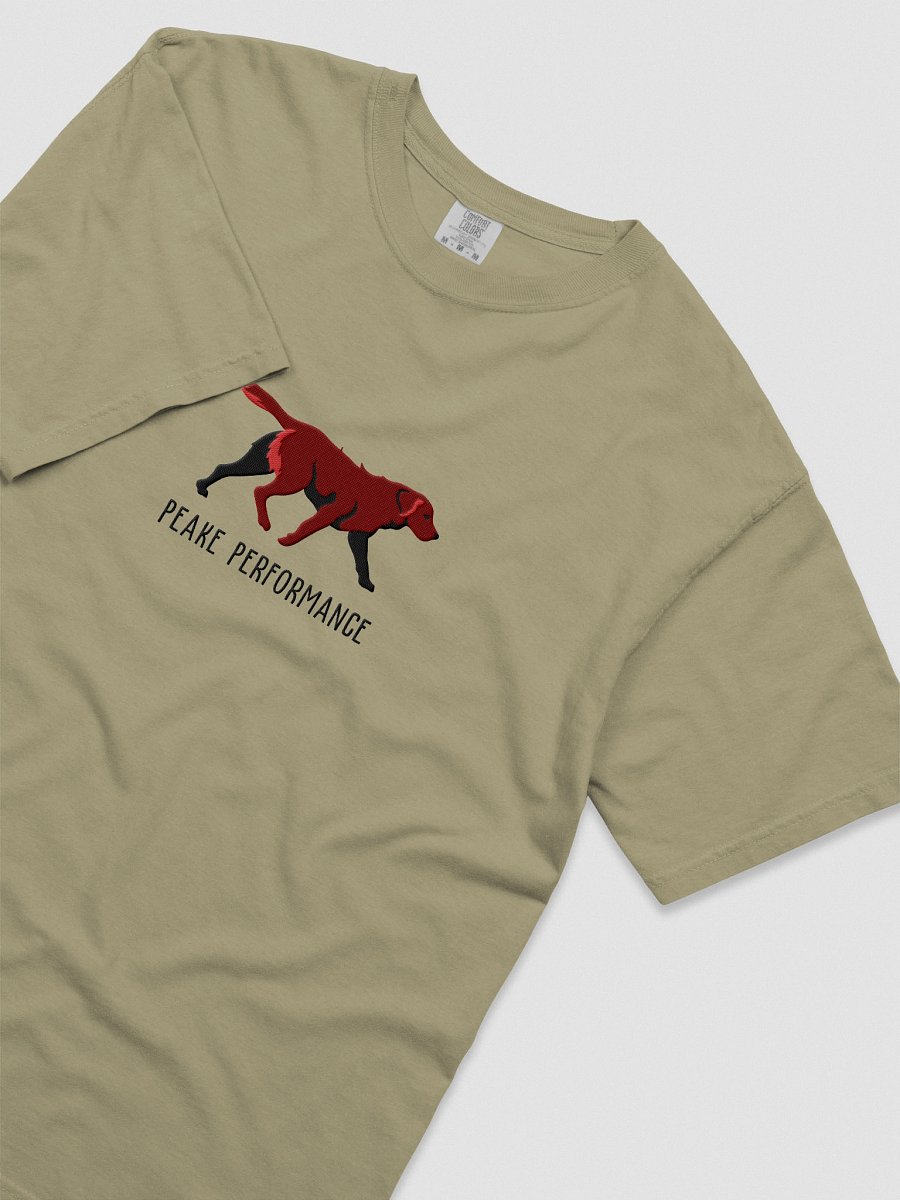 Peake Performance T-Shirt(Embroidered) of a Chesapeake Bay Retriever(Brown) product image (5)