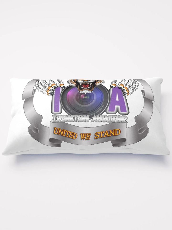 Ironton Auditor Pillow product image (2)