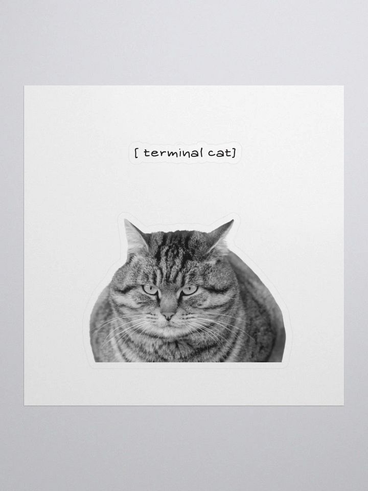 Terminal cat product image (1)