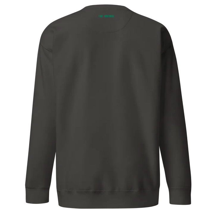 Glucose Guardian ∙ Embroidered Sweatshirt product image (18)