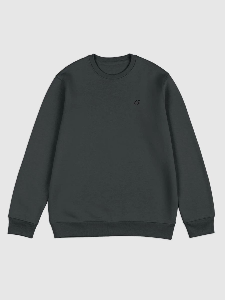 CS SweatShirt product image (3)