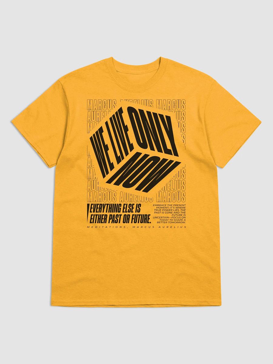 We Only Live Now Stoic Tshirt product image (5)