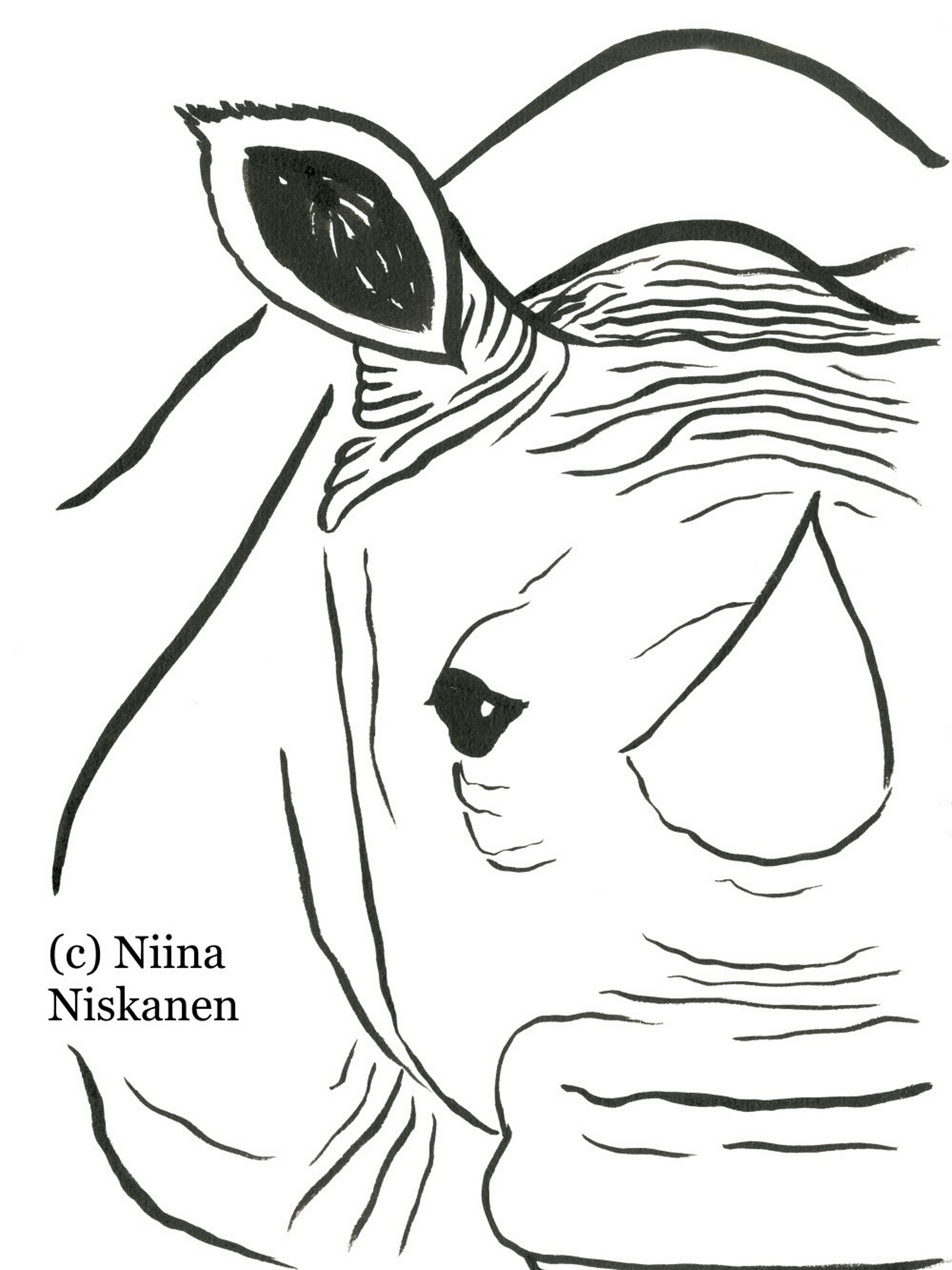 Face Of A Rhino Original Painting product image (1)