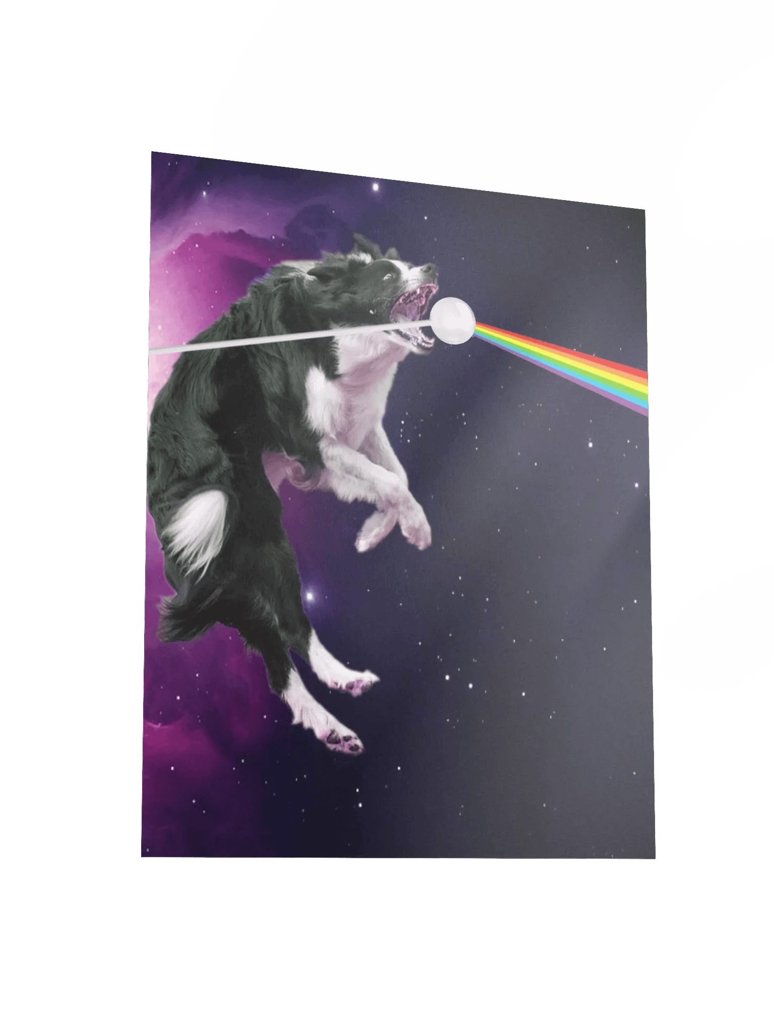 Border Collie Dark Side Of The Cosmos Poster product image (3)