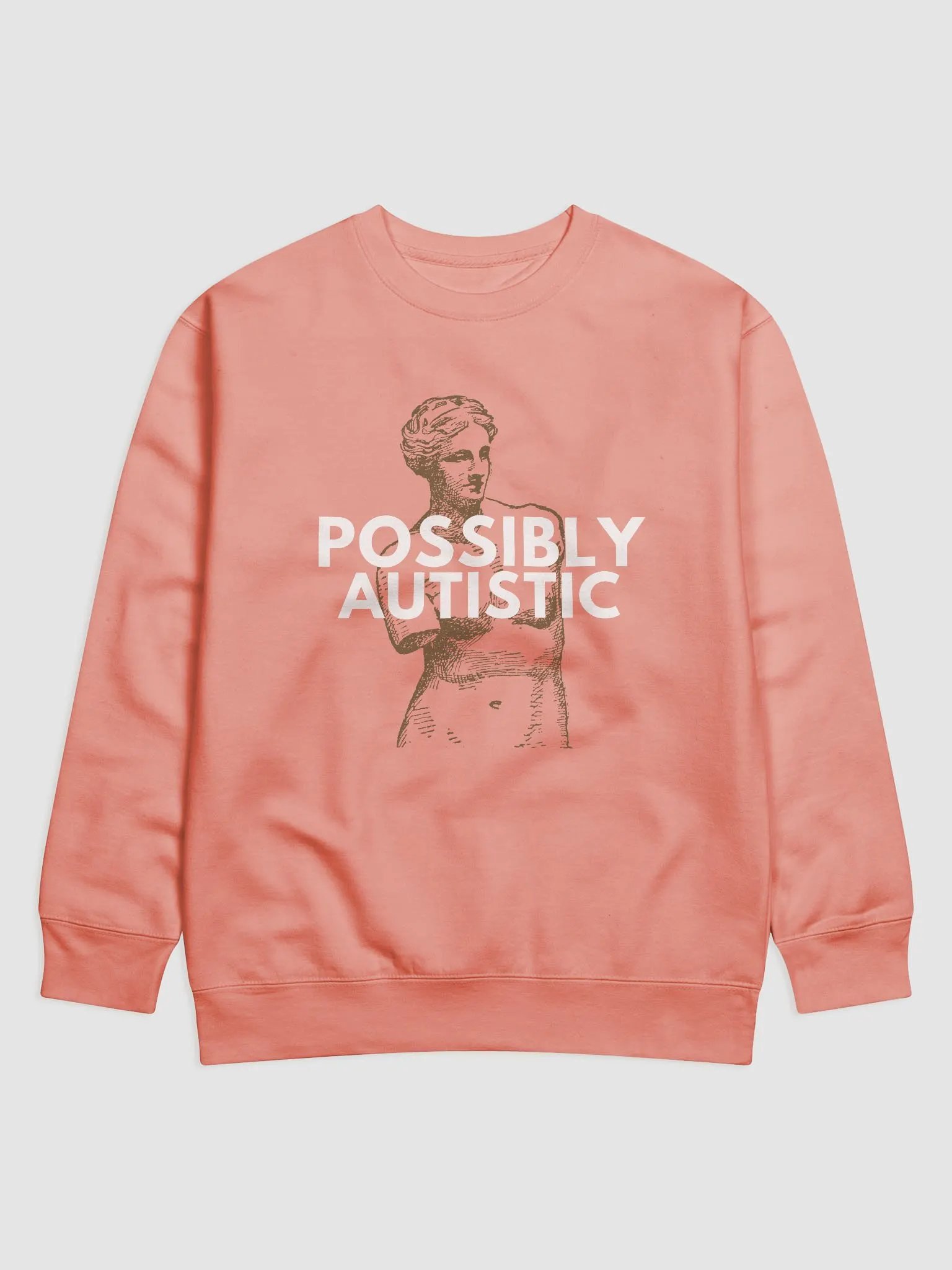 POSSIBLY AUTISTIC - SWEATER product image (1)