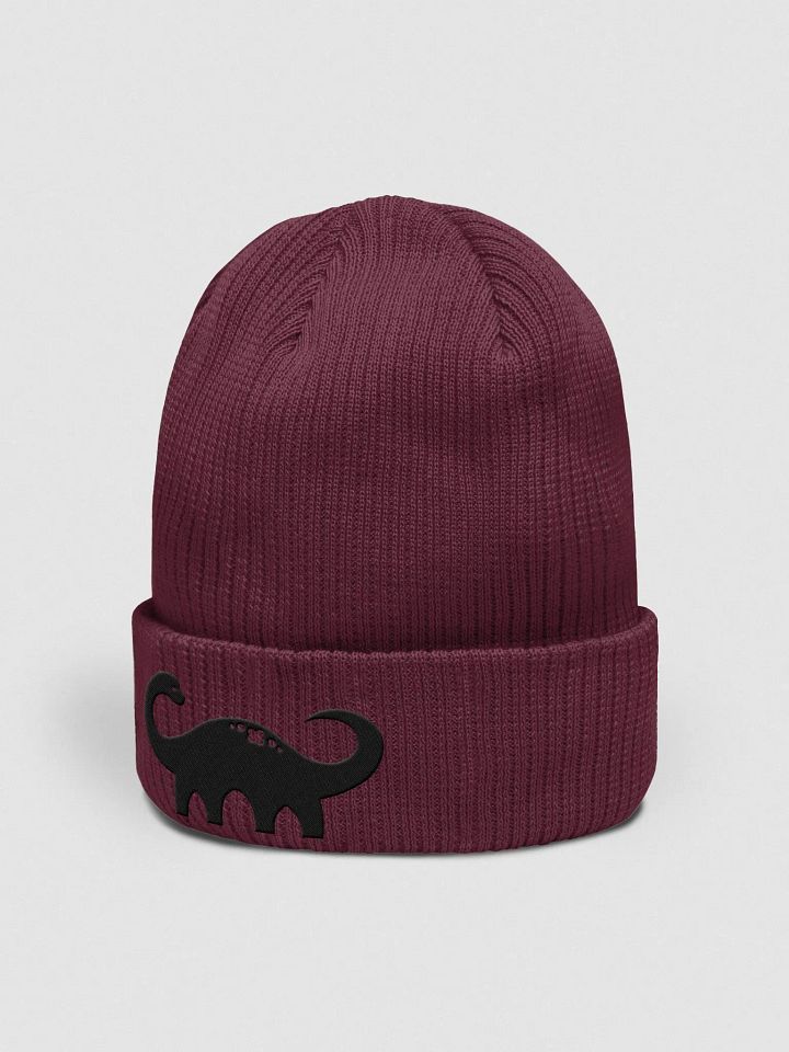 Flam's Dino Beanie product image (7)