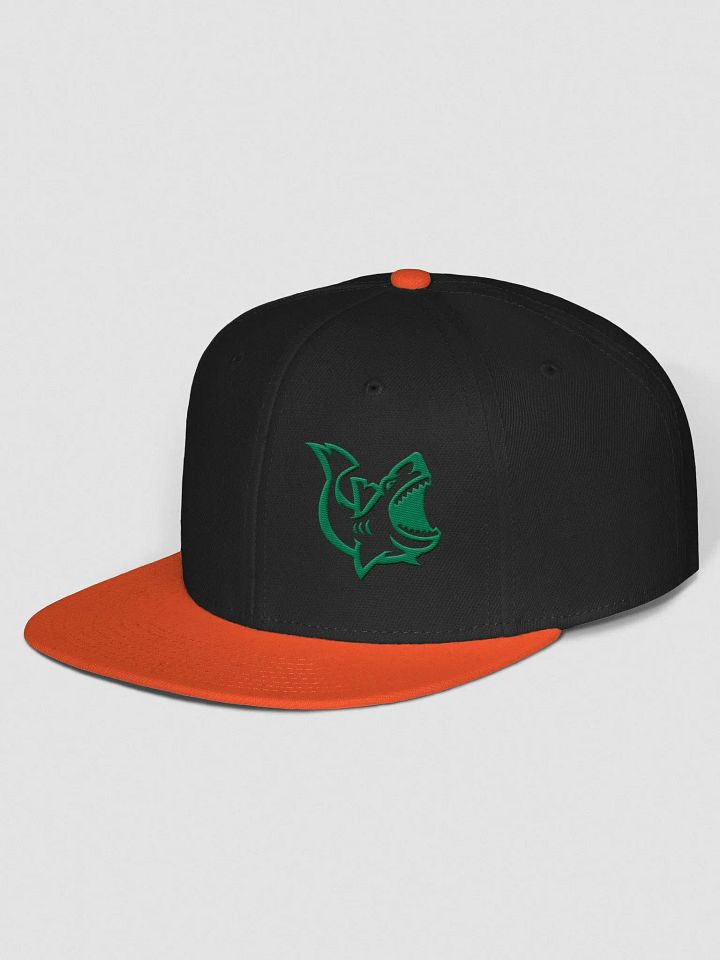 Sharks Outline Snapback product image (12)