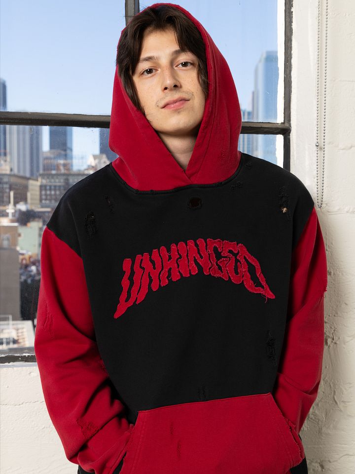 Unhinged Hoodie product image (1)