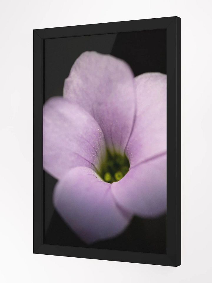 Violet in Black product image (2)