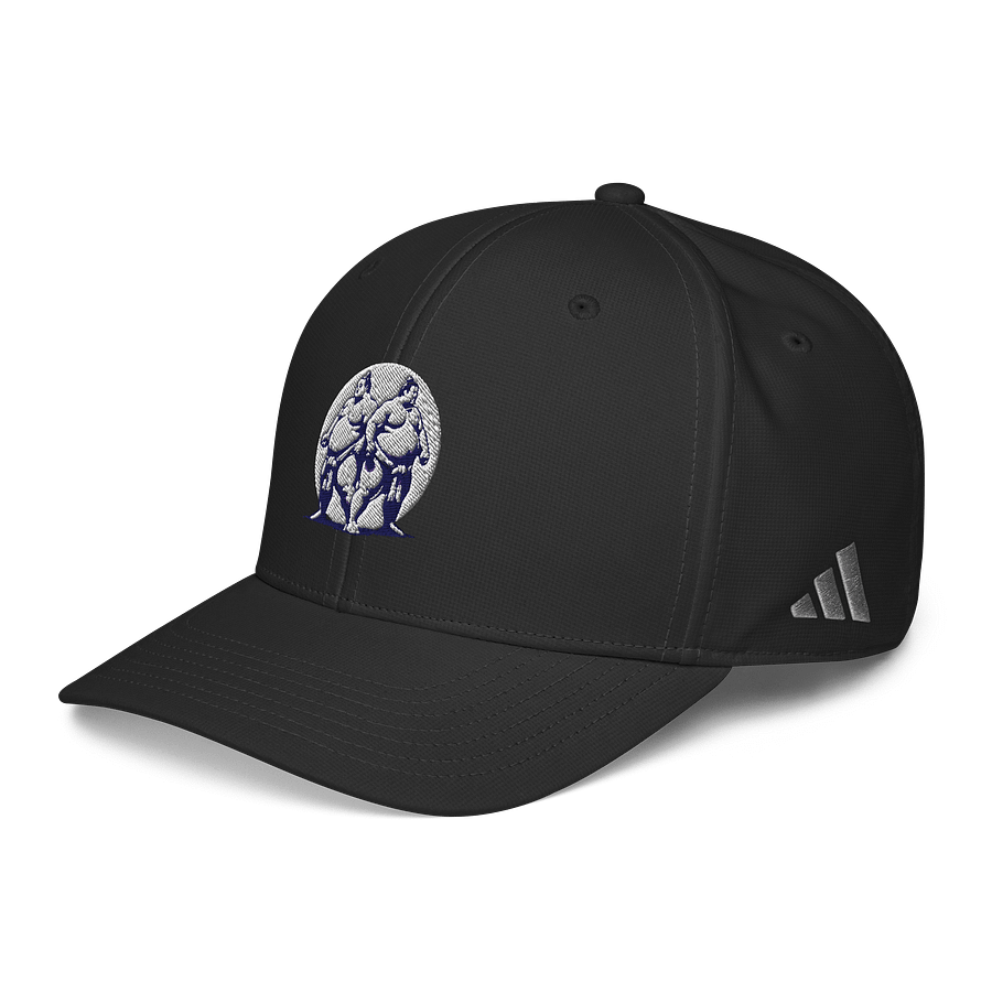 Sumo Showdown Snapback Cap product image (3)