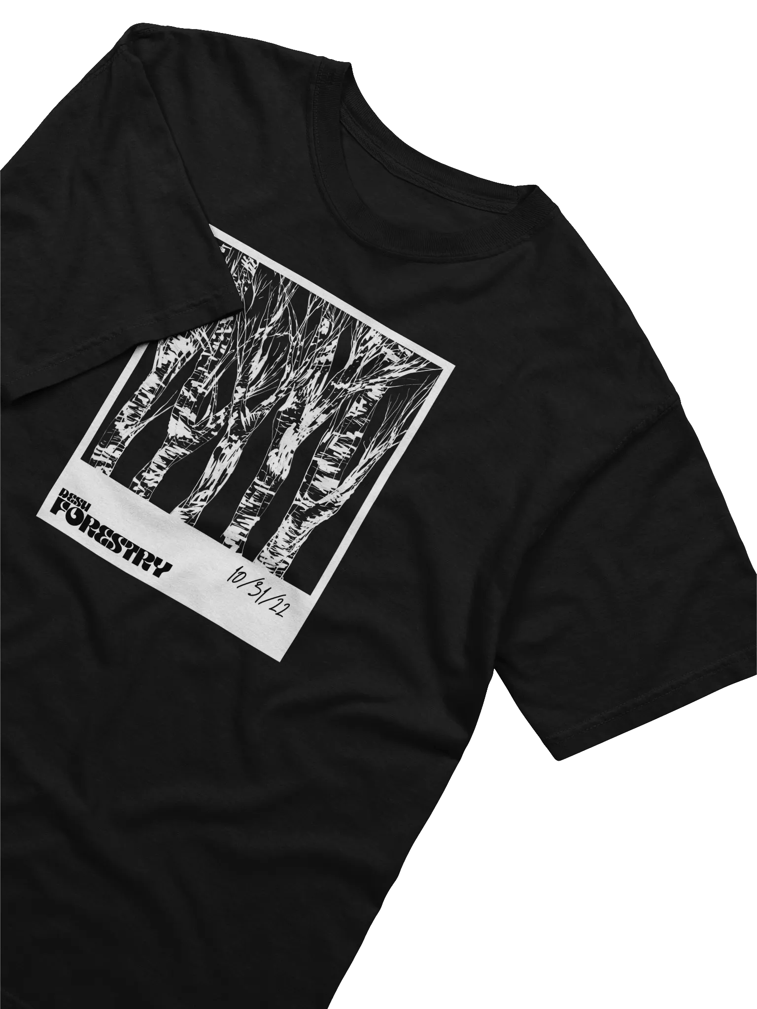 forestry EP Polaroid T-Shirt product image (3)