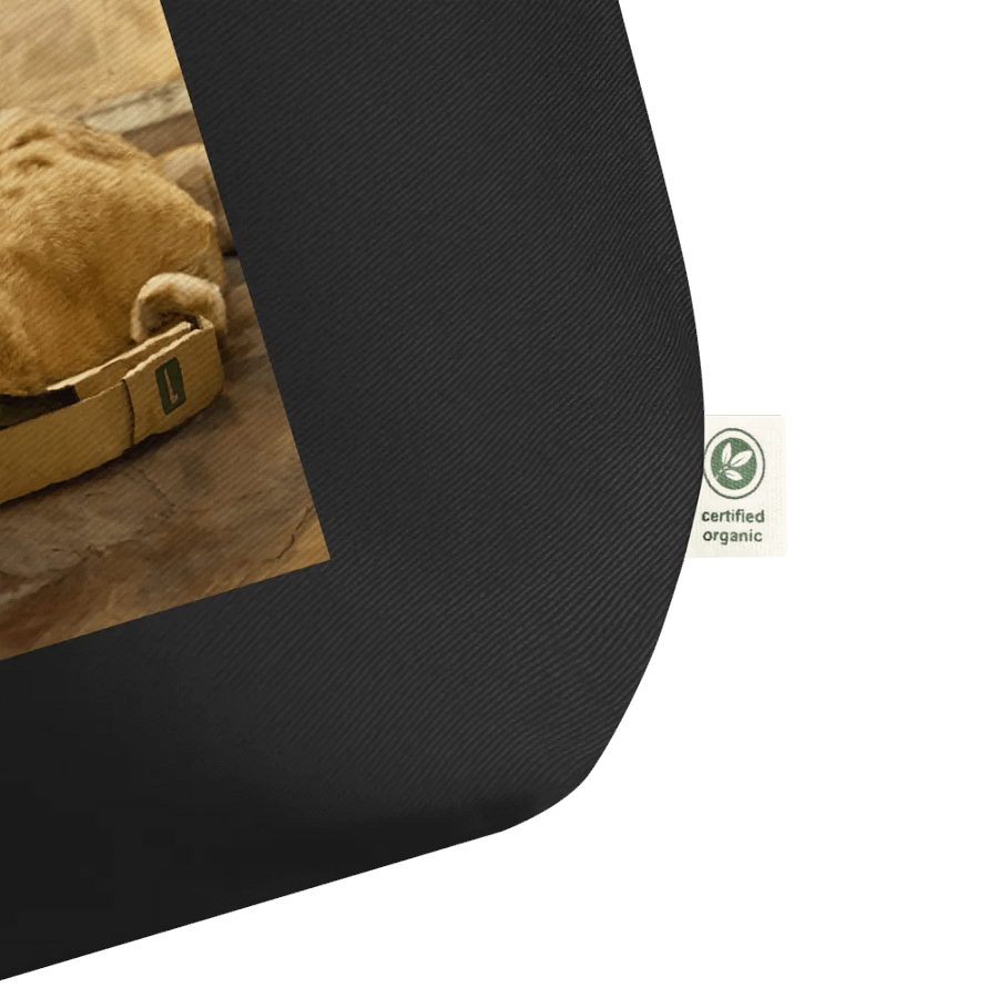 Colby on a Box Canvas Bag product image (2)