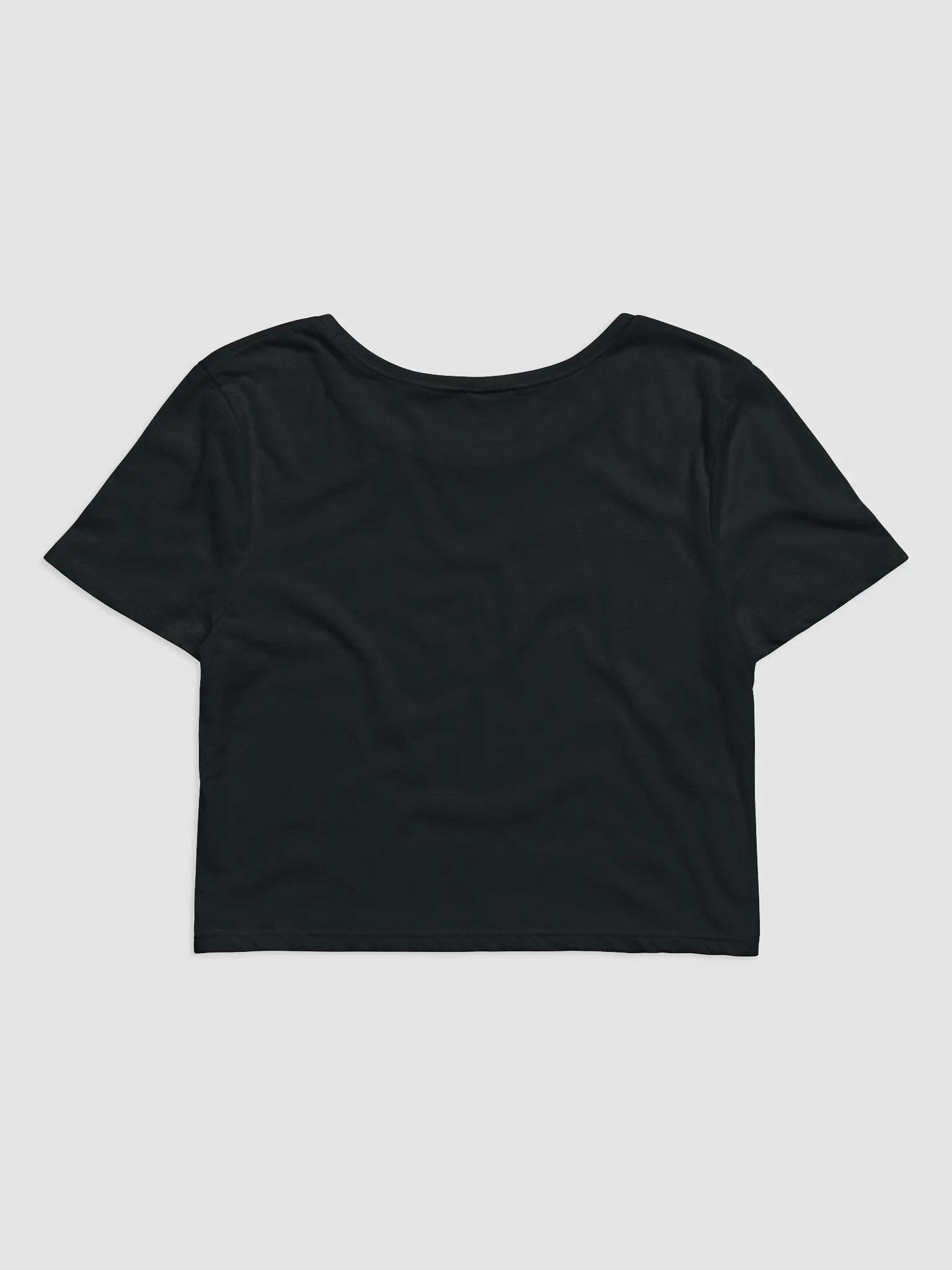 HOT BOX FAM PINK LOGO CROP TOP product image (2)
