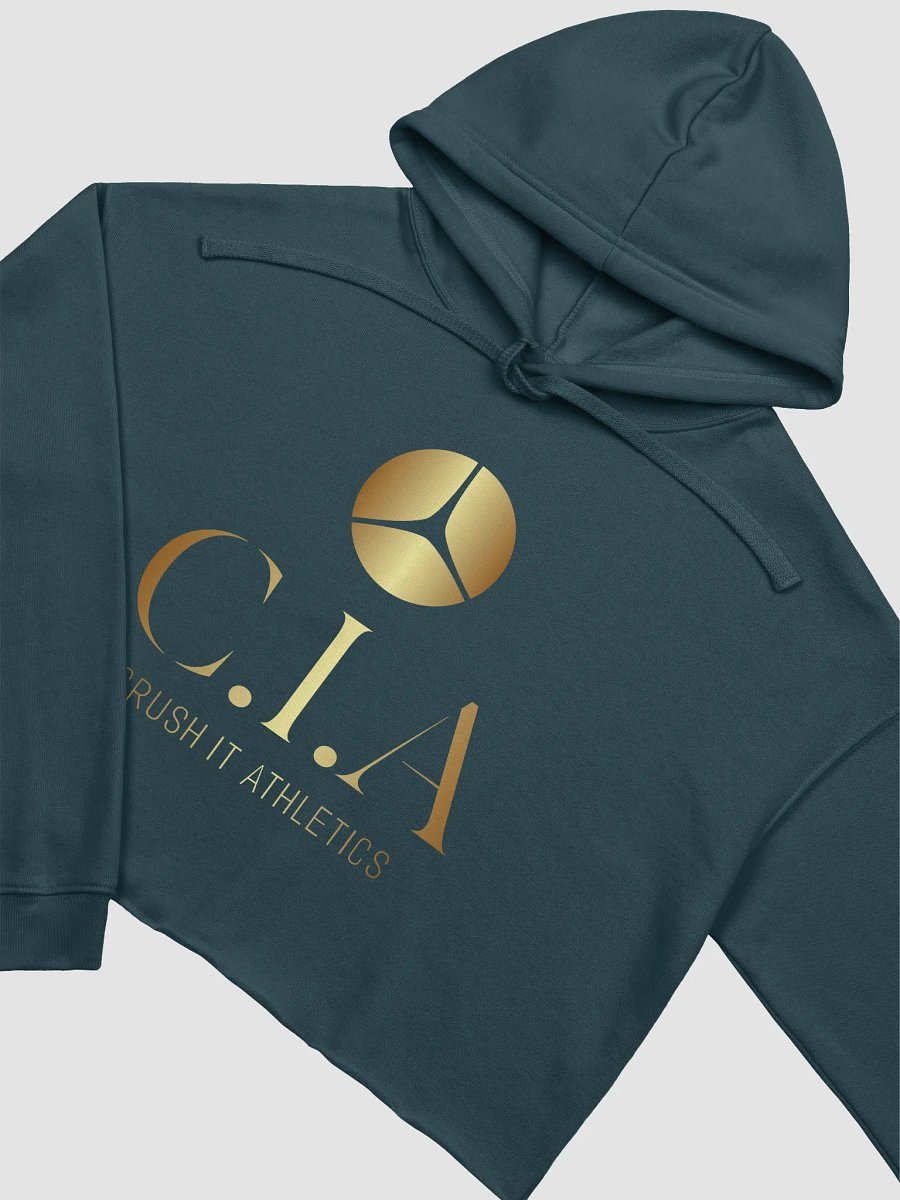 C.I.A Gold Symbol Crop Hoodie product image (21)