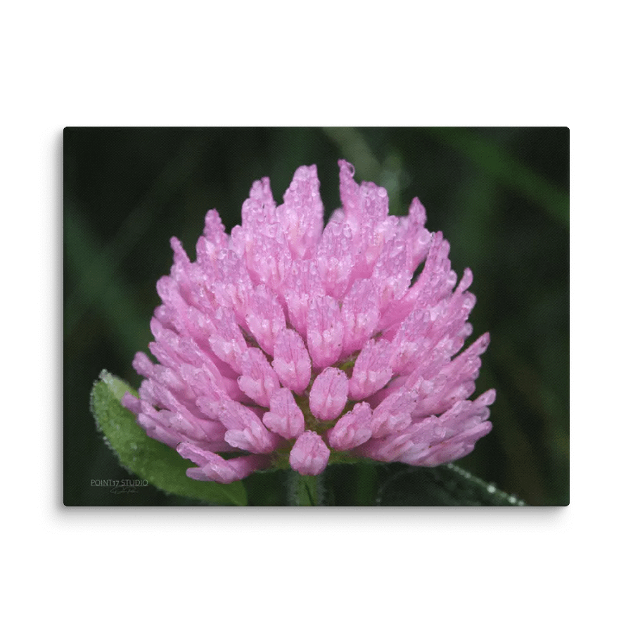 Soaked Purple Clover - Print On Canvas product image (1)