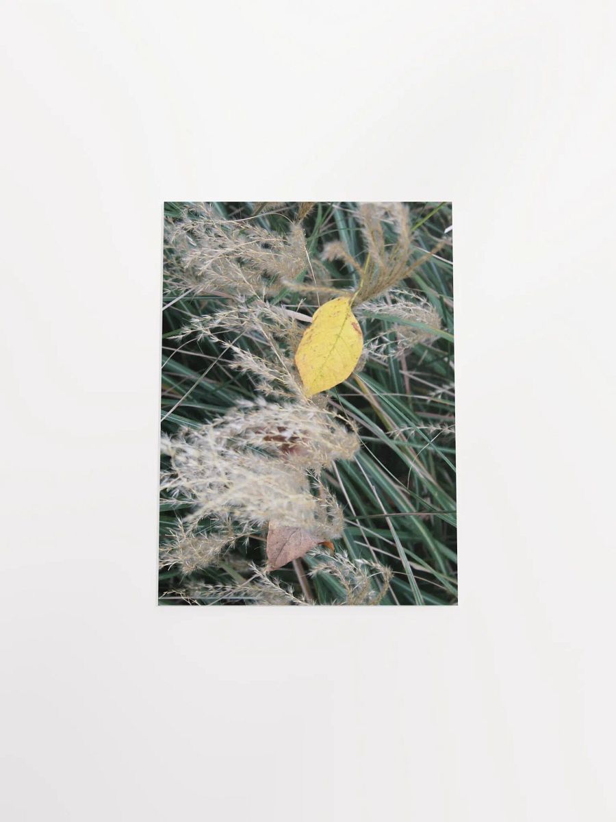A Study in Flowers 11 product image (39)