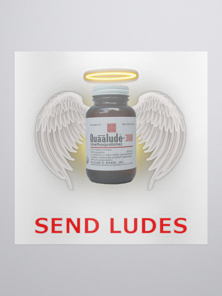Send Ludes Sticker product image (1)