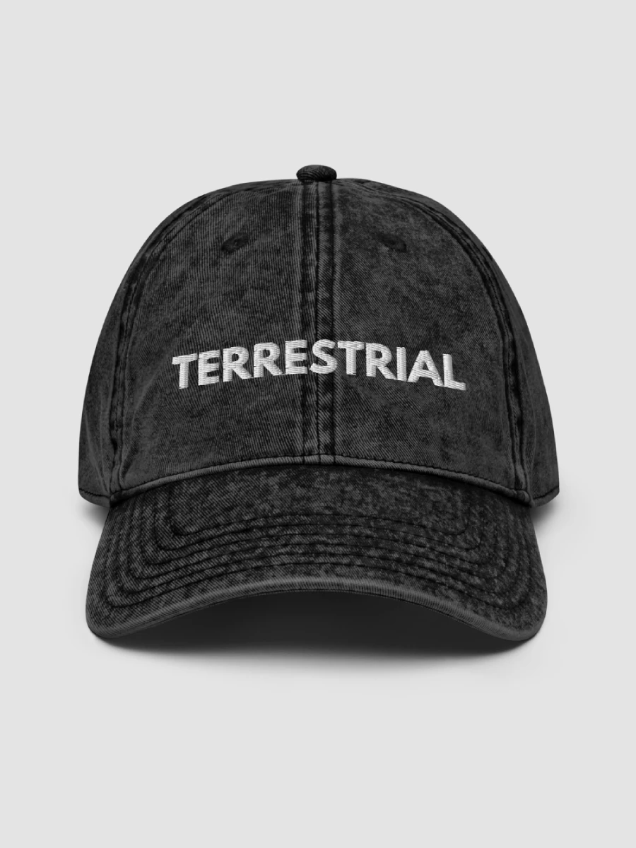 Classic Logo Distressed Hat product image (5)