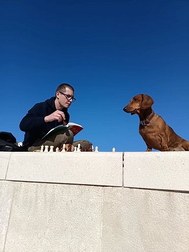 I'm studying endgames and Pegi is helping.

#chess #chessplayer #doglover