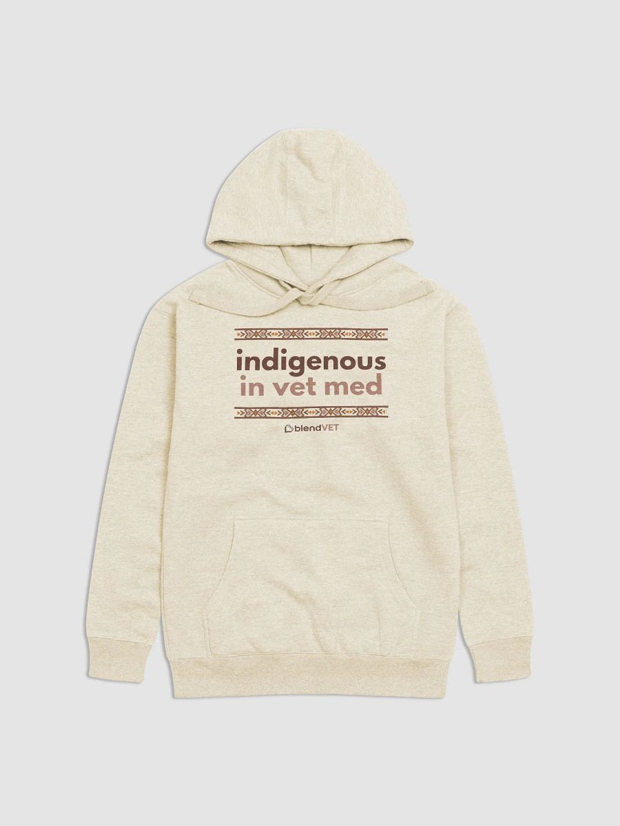 Indigenous in Vet Med Hoodie product image (1)