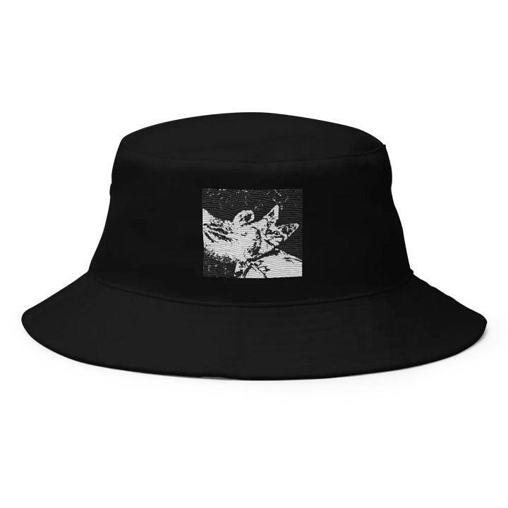 Toby's Hat product image (1)