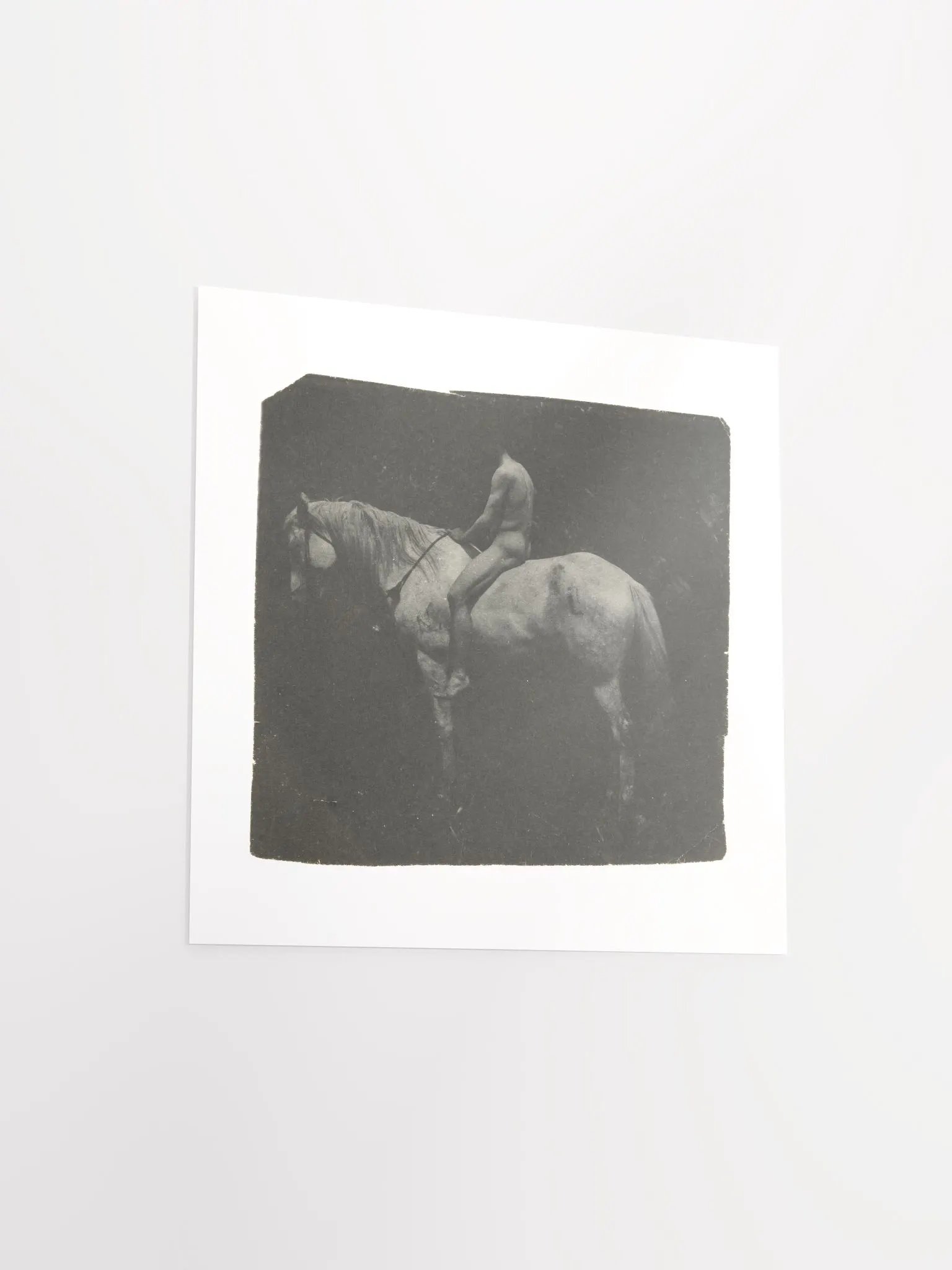 Samuel Murray Astride "Billy" by Thomas Eakins - Print product image (4)