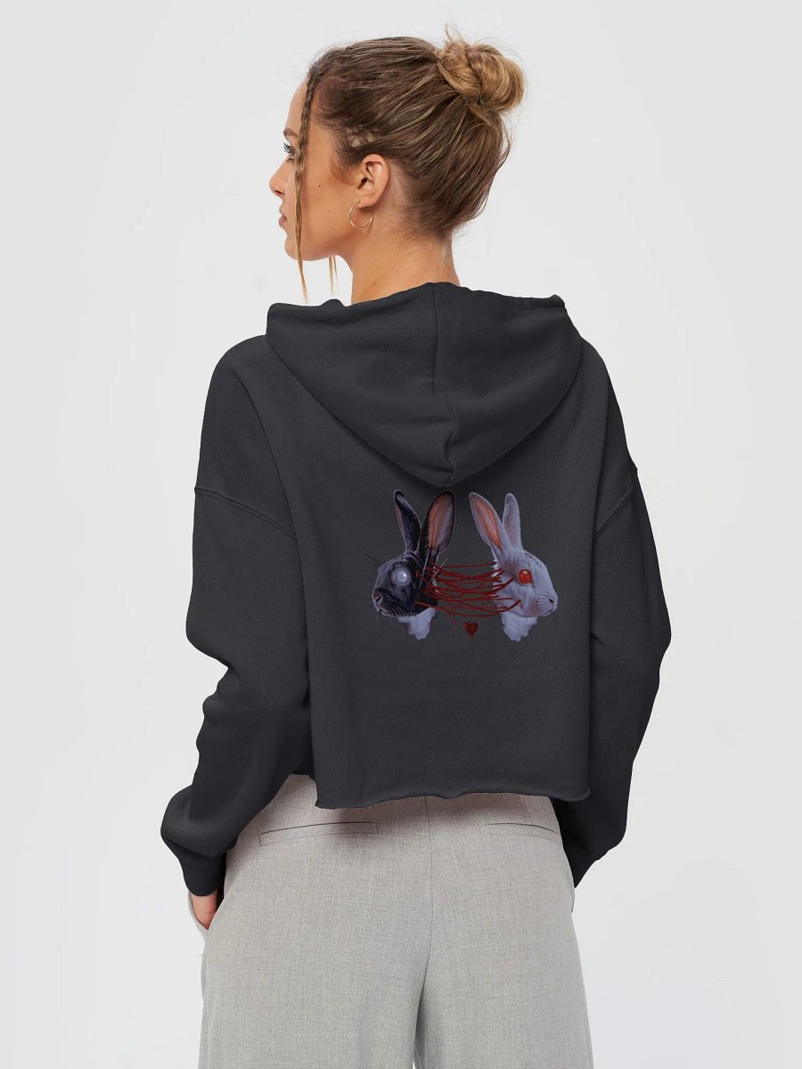 Bound Cropped Hoodie product image (3)